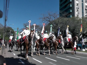 desfile cavalo